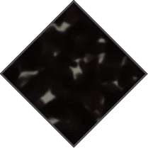 BLACK TORTOISE