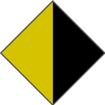 YELLOW / BLACK - POLARIZED PLAIN GREY LENS
