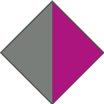 GREY / PURPLE