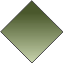 GRADIENT GREEN - PLAIN TURQUOISE LENS