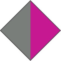 GREY / PURPLE