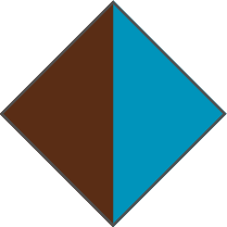 BROWN / TURQUOISE